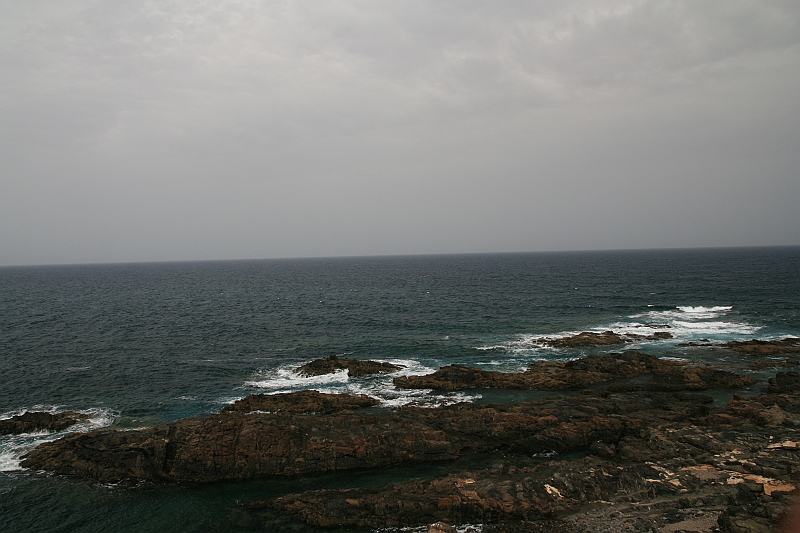 Kanary_2010 030